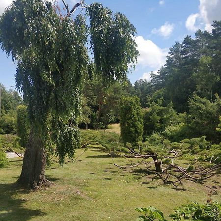 Domek Pod Brzoza Villa Mrągowo Exterior foto