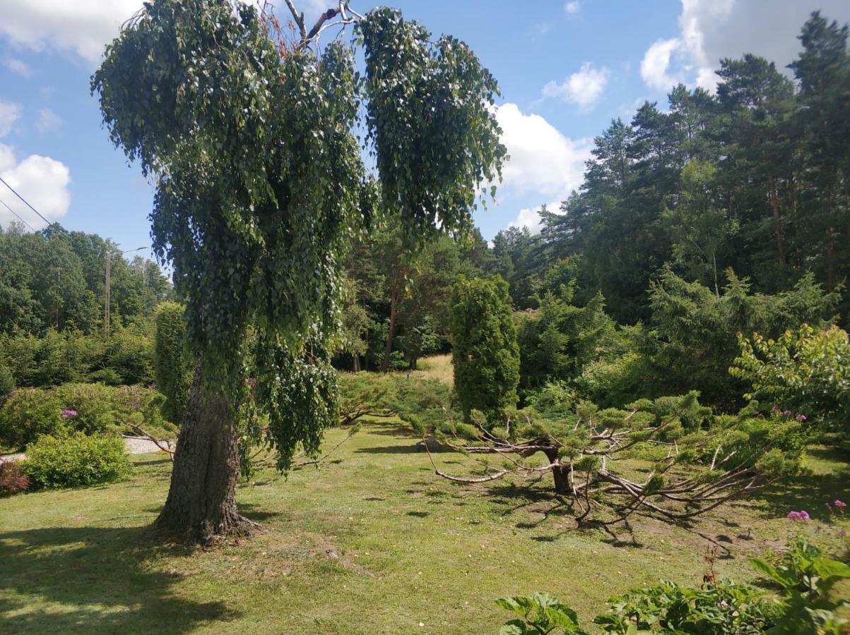 Domek Pod Brzoza Villa Mrągowo Exterior foto